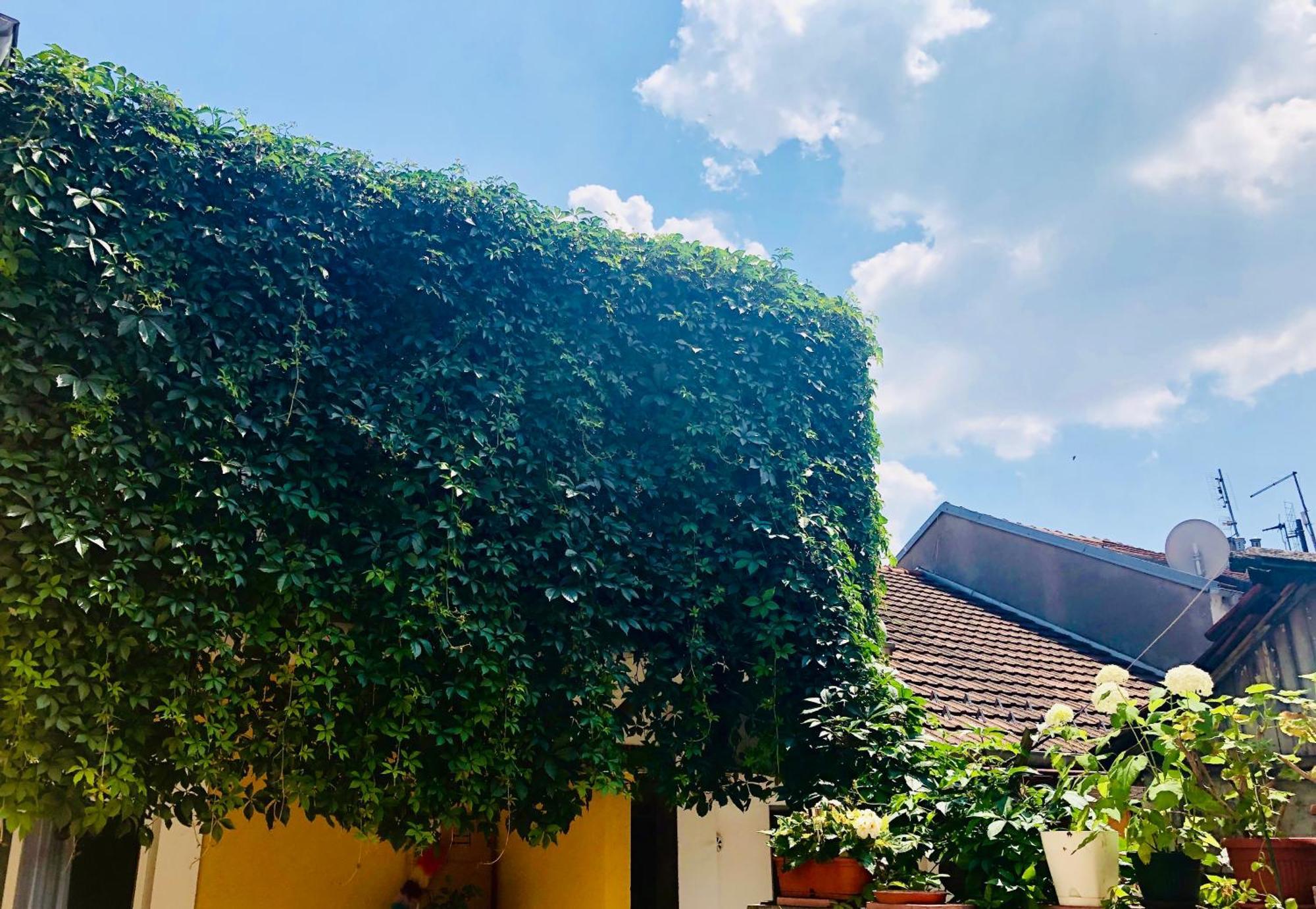 Zemoon Apartment Beograd Eksteriør bilde